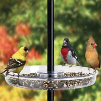 Seed Catcher Platforms